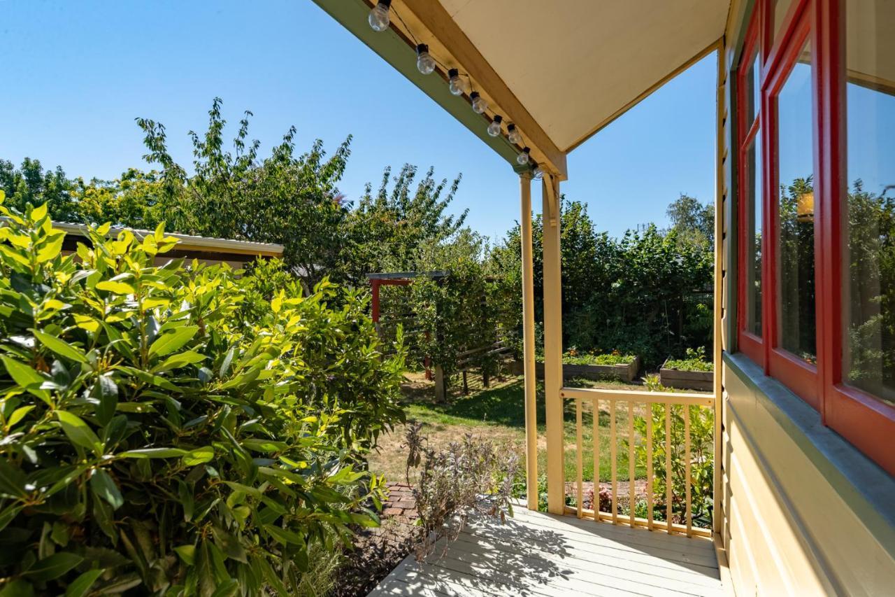 Shy Cottage And Studio Greytown Exterior photo