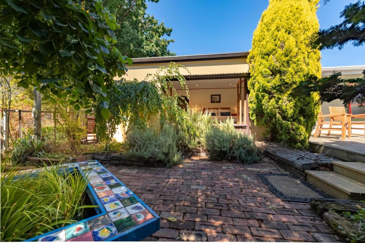 Shy Cottage And Studio Greytown Exterior photo