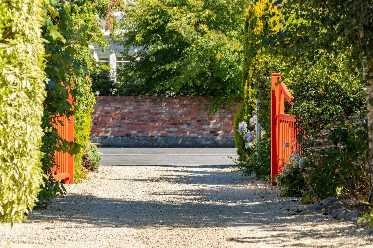 Shy Cottage And Studio Greytown Exterior photo