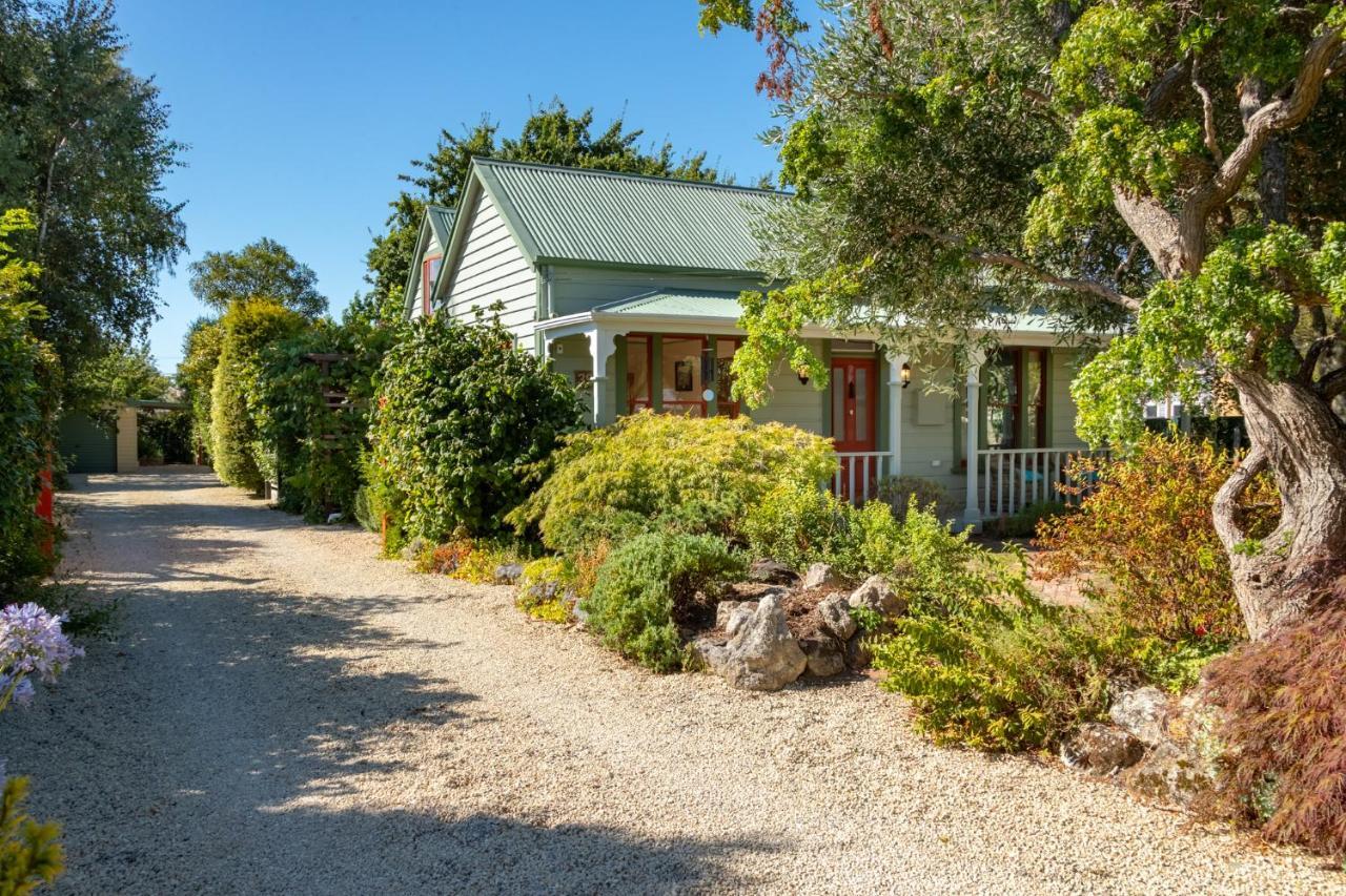 Shy Cottage And Studio Greytown Exterior photo