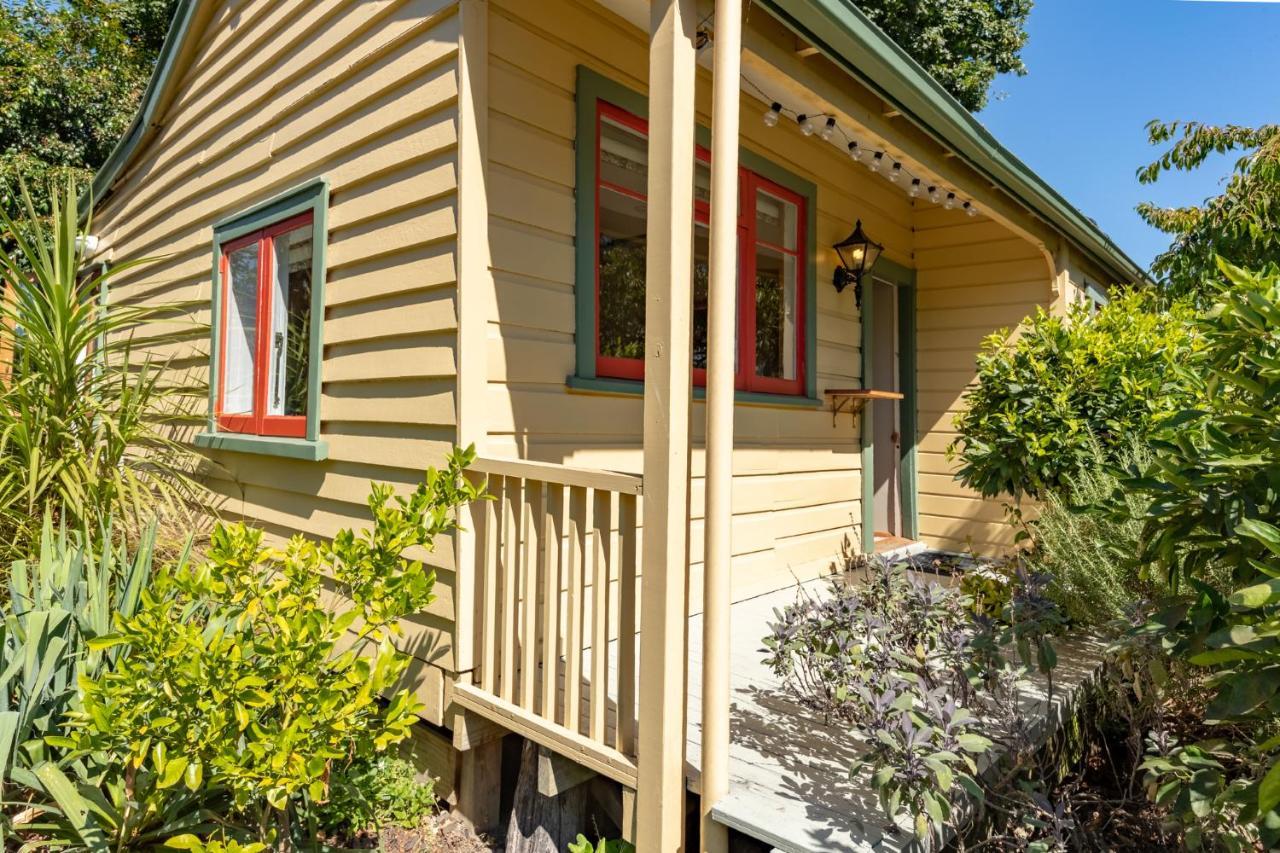 Shy Cottage And Studio Greytown Exterior photo