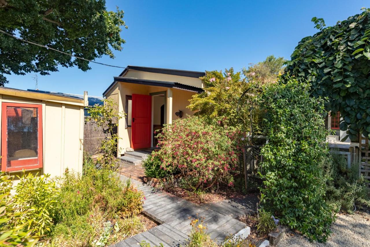 Shy Cottage And Studio Greytown Exterior photo